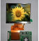 Module 3,5 van LQ035NC111 Innolux TFT LCD“ met Transmissive Weergavemodus
