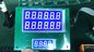 100% vervang het Segment Grafische LCD van wdn0379-Tmi-#01 Stn Blauwe Module