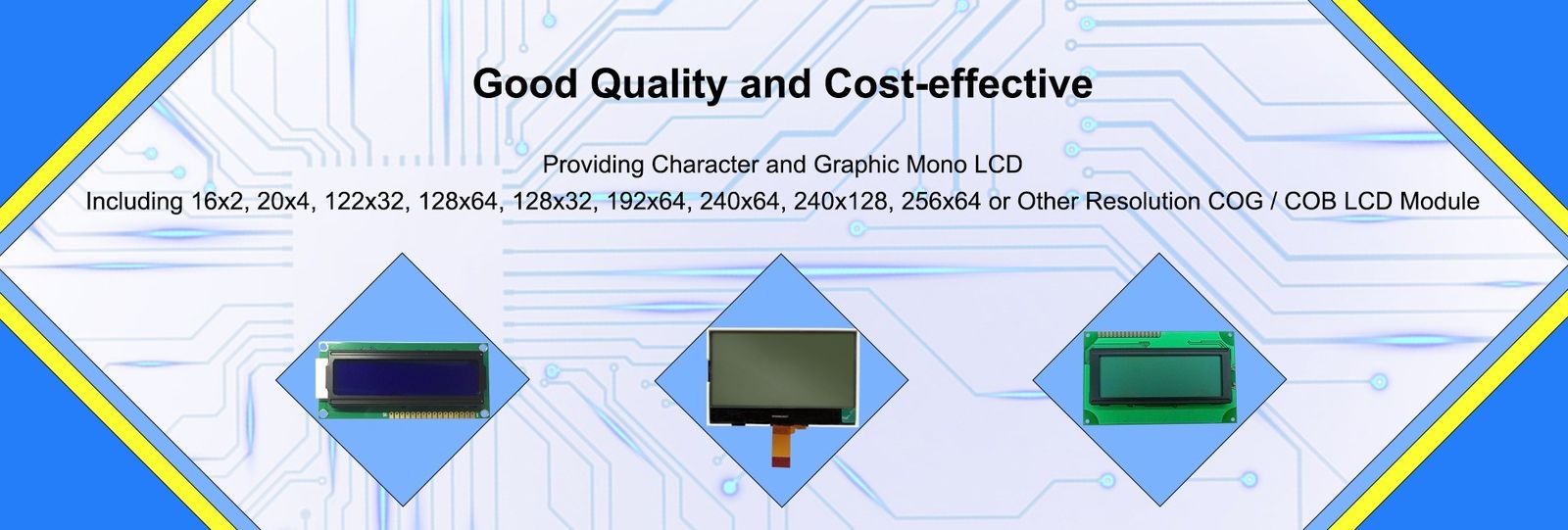 Grafische LCD Module