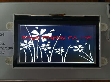 Klein LCD van het Grootte Standaardradertje Grafisch Moduledfstn LCD Type RYG19264B 