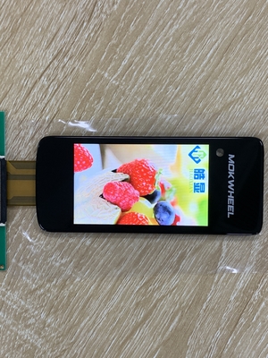 IPS 3.1'' TFT LCD Display 480rgbx800 Resolutie Scherm Met Boe Glas