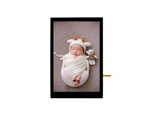 8 inch TFT-LCD-module Vrije kijkhoek 800*RGB*1280 Verticaal scherm