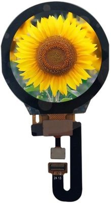 TFT 1.3inch 240x3 (RGB) x240 om Cirkeltft lcd-Vertoning SPI met Capacitief Aanrakingscomité