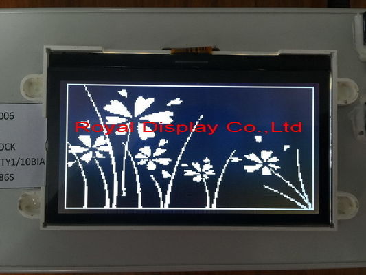 Aangepaste het RADERTJE Grafische LCD van STN/FSTN 192*64 Dots Size Module Monolcd Witte Backlight