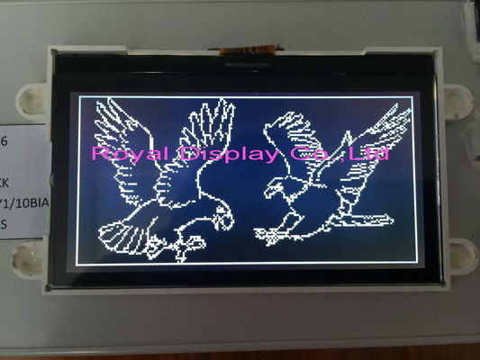 Parallelle Interface van de Stn de Grafische 192x64 Dots Mono LCD Module FSTN FFC
