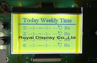 180X100 LCD van het puntryg180100a Grafische RADERTJE Module FSTN STN Positieve ISO