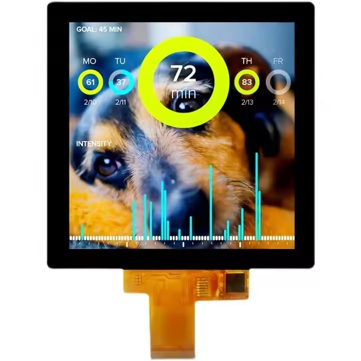 3.95 inch 4" 480*480 TFT LCD-scherm met RGB-interface CTP