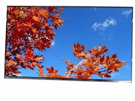 11.6' 1920*1080 Tianma FHD SFT TFT LVDS LCD-module met aanraking