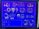 Rtp 320x240 stippelt LCD Zwart-wit Comité FSTN Positieve Grafische LCD Module met Witte Blacklight