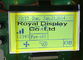 180X100 LCD van het puntryg180100a Grafische RADERTJE Module FSTN STN Positieve ISO